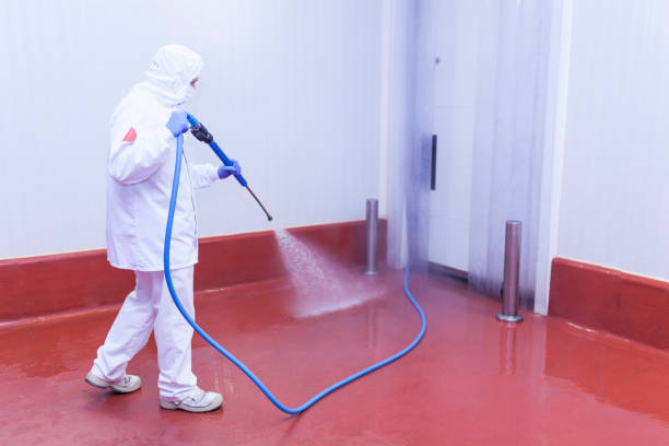 Animal Enclosure Cleaning in Pflugerville, TX